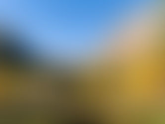 100% Bio und 100% Valposchiavo: Wie das Puschlav Herkunft zertifiziert