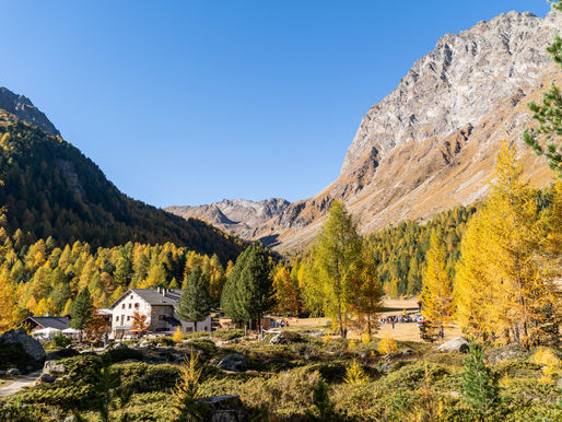 100% Bio und 100% Valposchiavo: Wie das Puschlav Herkunft zertifiziert