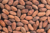 Partnership for Sustainable Agriculture to produce sustainable Kakao