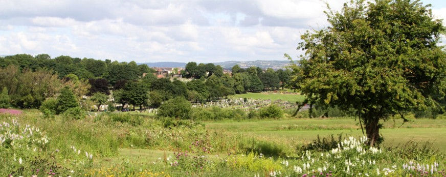 What does climate change look like in your area? Learning from Manor Castle, Sheffield