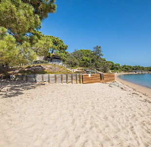 photo_e5ee6ce4166e47576ab8018b51873bd5 (2).jpg