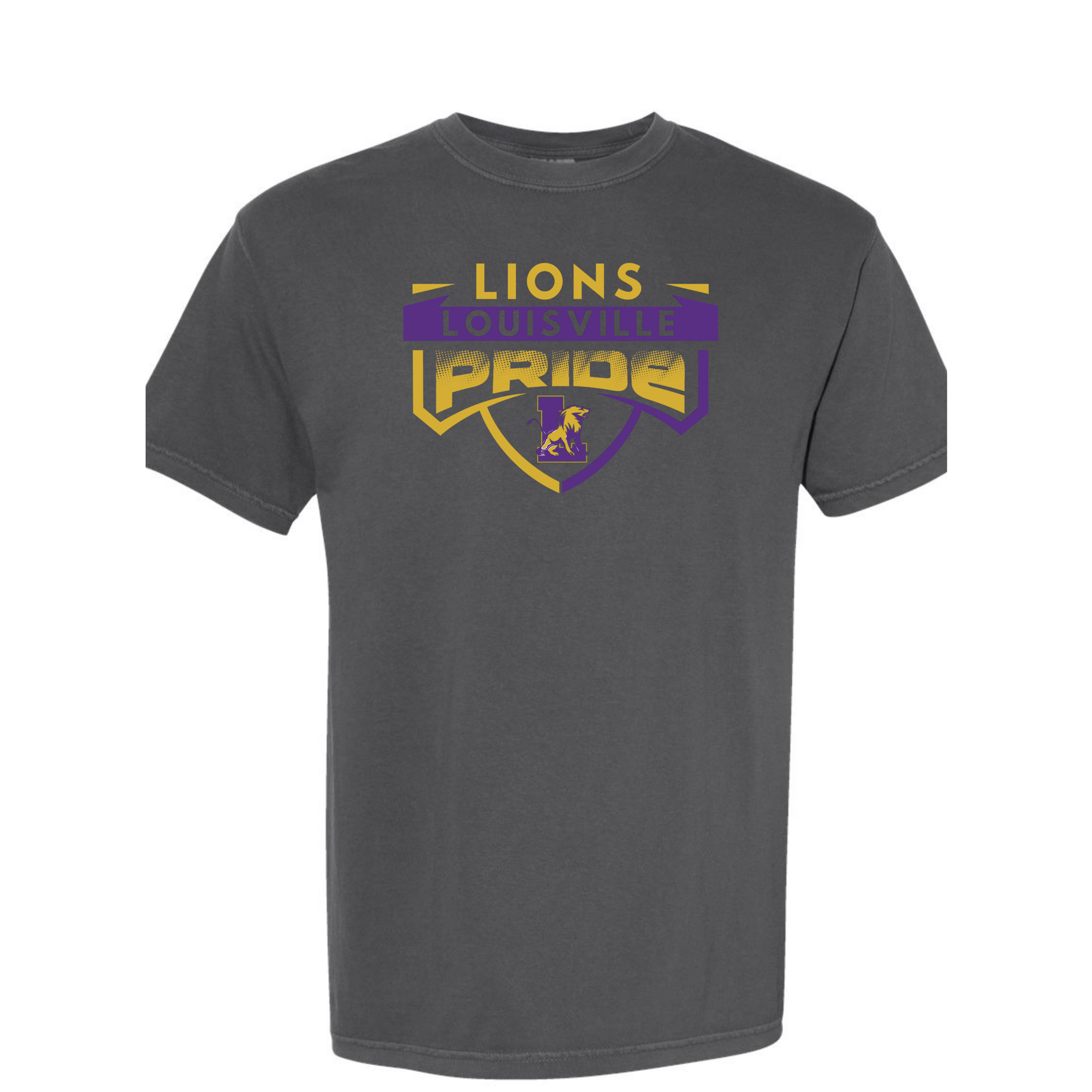 LIONS All Season Comfort Wash Tee Shirt 2025.3