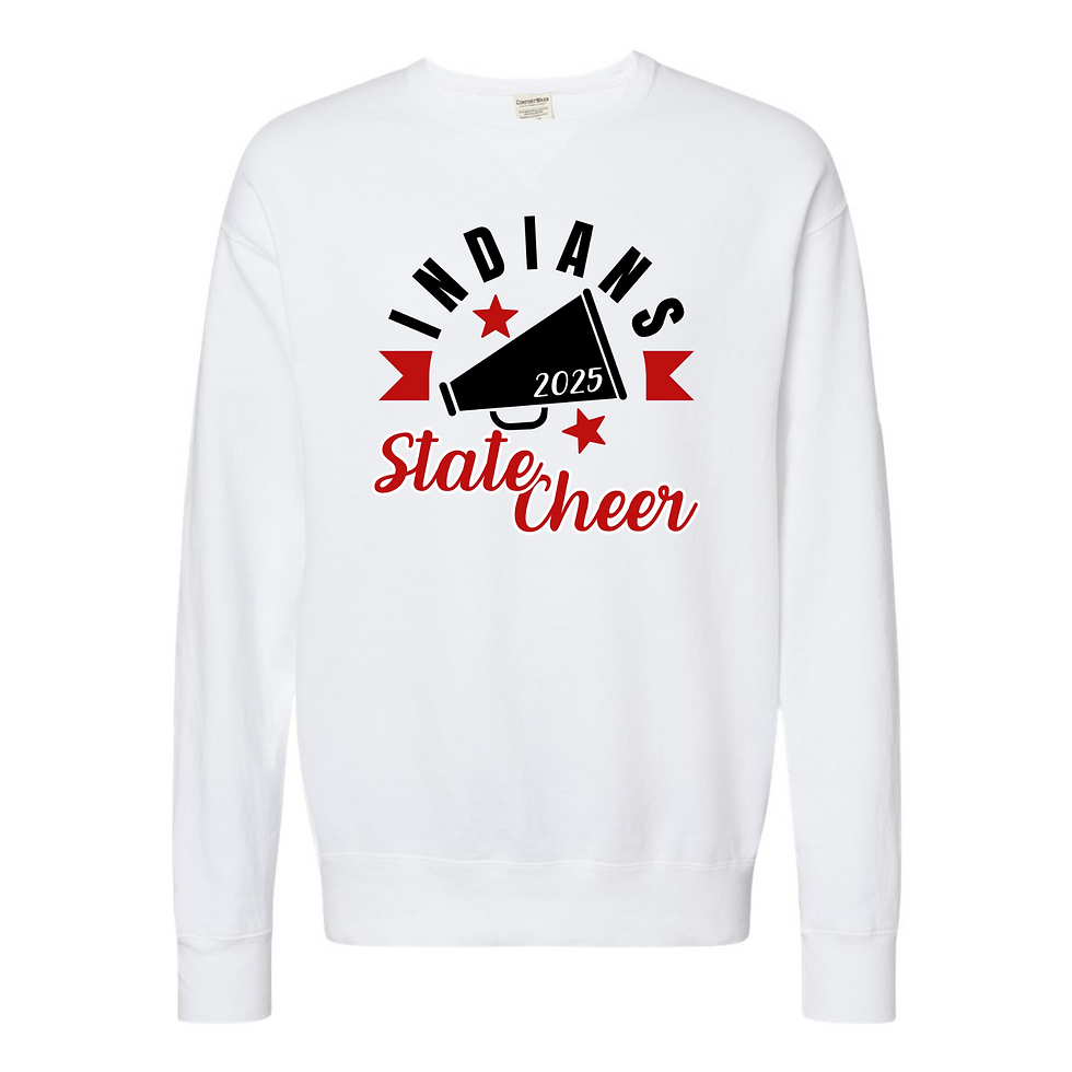 Thumbnail: WW State Cheer Comfort Wash Crew Neck 2025
