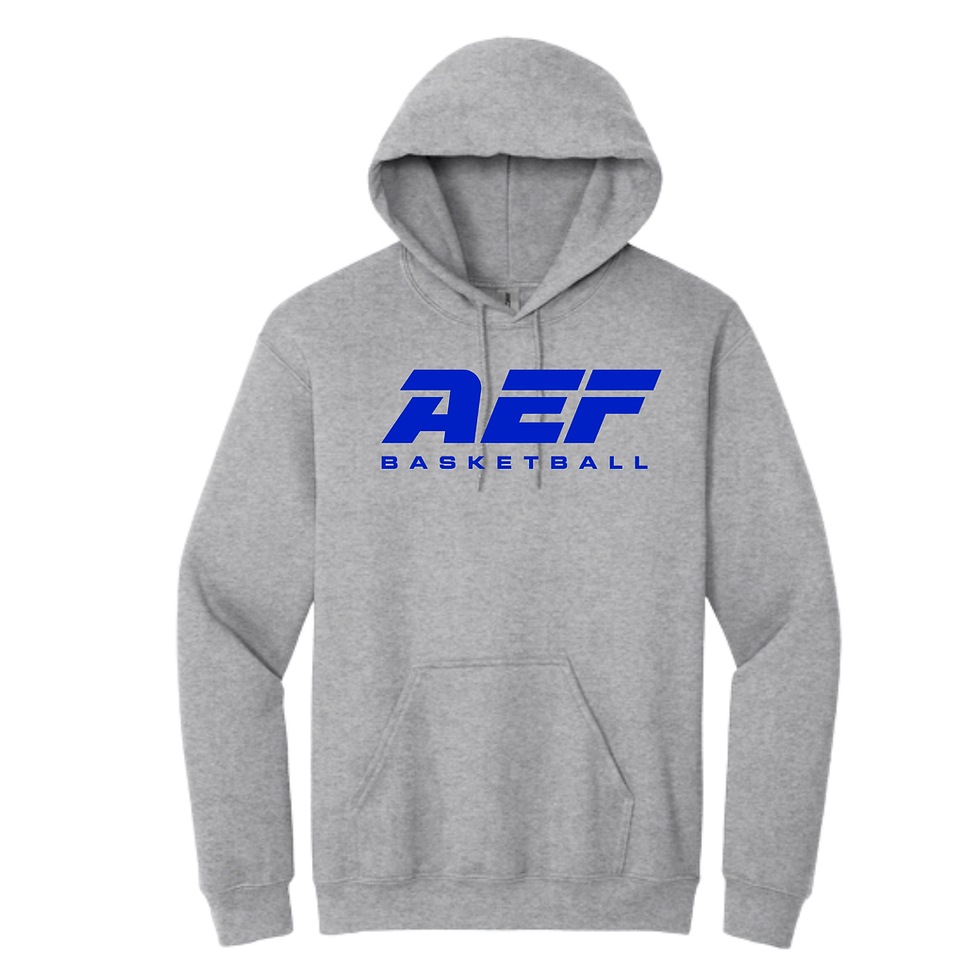 Thumbnail: AEF Heavy Hoodie 2025.1