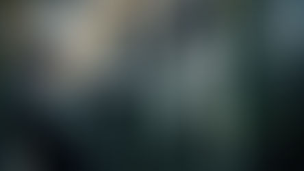 NIEUW aandeel: Amazon Inc