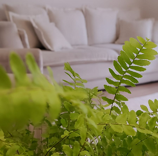 Design sem nome (45).png