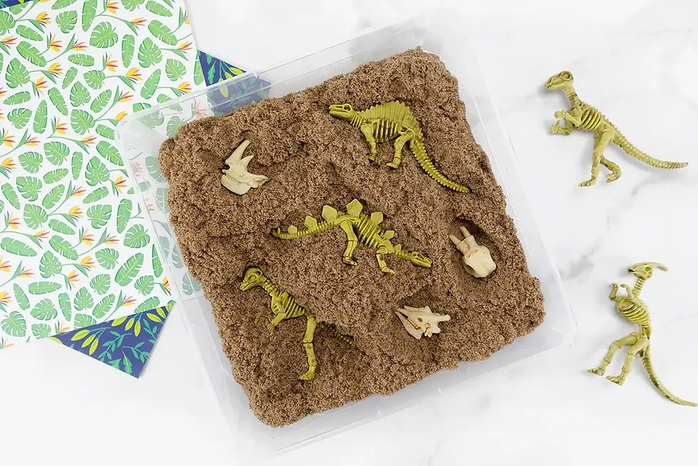 Fossils, Volcanoes & Dino Trivia
