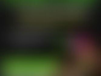 South East Pheonix 10% Member Discount