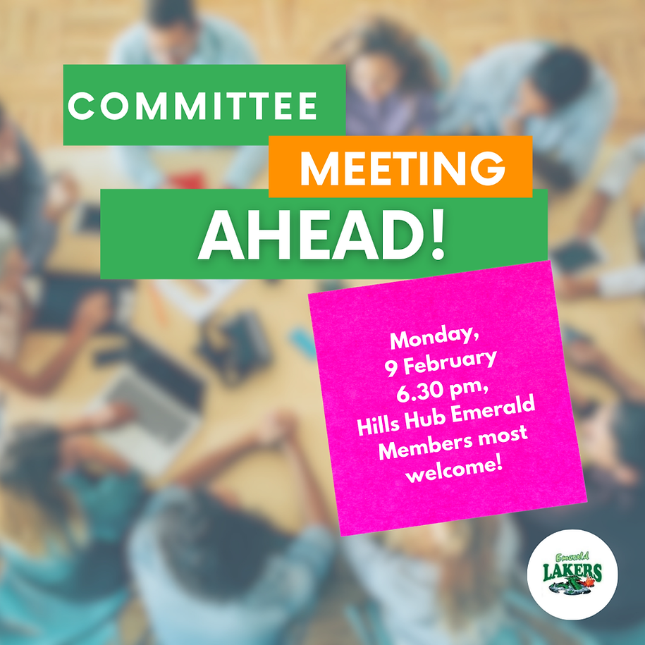 Copy of Junior Lakers Programs .png