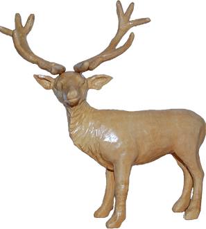 Hirsch 1_edited_edited.png