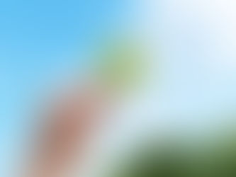 癒しとはぬくもりじゃない