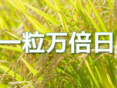 あらゆる引き寄せに重要な「一粒万倍日」