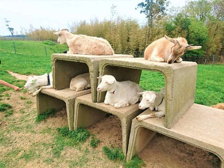 福井県に遊びに行こう vol.7