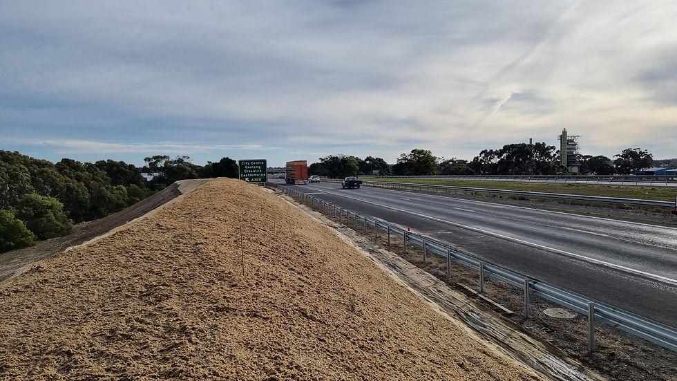 150m long sound mound mulched and revegetated by the Western Freeway in Ballarat