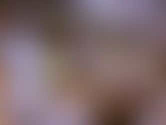 Festival de Brasília começa com homenagens e filmes mosaicos