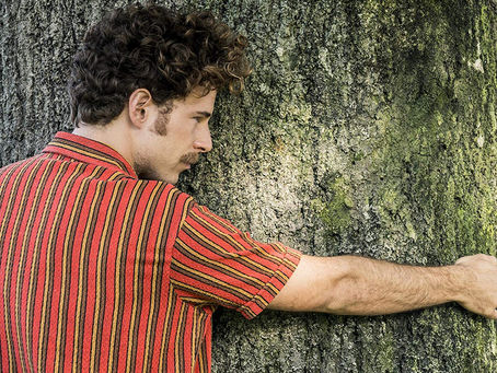 Crítica: 'Árvore de Sangue', da Netflix, é 'novelão' exagerado