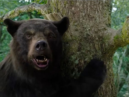 Crítica: 'O Urso do Pó Branco' diverte em filme com cara dos anos 1980