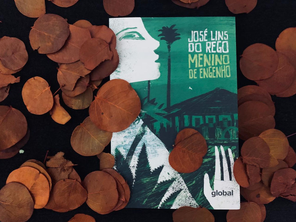 Resumo Do Livro Menino De Engenho - RETOEDU