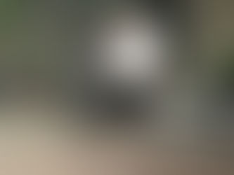 Jason Bateman e Jude Law mergulham no submundo nova-iorquino em ‘Black Rabbit’