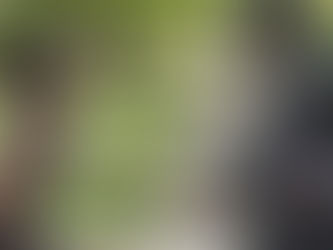 Crítica: 'Acrimônia' é bom drama que se perde em final pastelão