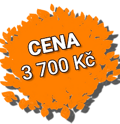 Cena_new1.png