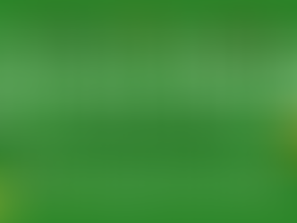 Arts & Climate Collective Festival