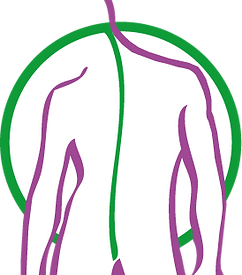 Osteopathie Spriestersbach Herdecke