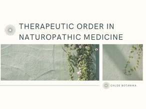 The Therapeutic Order in Naturopathic Medicine