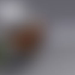 Los valores políticos, sociales y económicos de la identidad cultural