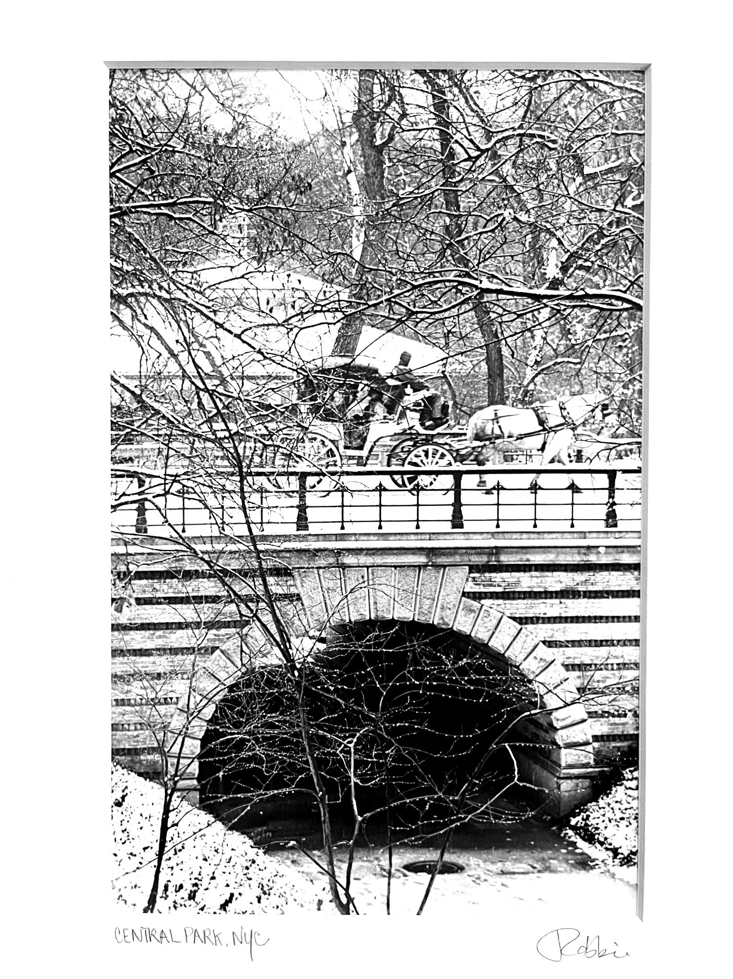 VINTAGE PHOTOGRAPH CENTRAL PARK