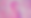 Nina Splash Lilac BG.png