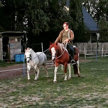 True Horsemanship
