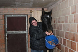 moeilijk paard, natural horsemanship cursus gelderland, natural horsemanship lessen, paardenfluisteraar