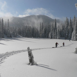 Winter Trekking