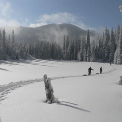 Les traces de pas dans la neige de l'hiver sous un soleil magnifique.