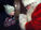 Lessons from Santa’s knee