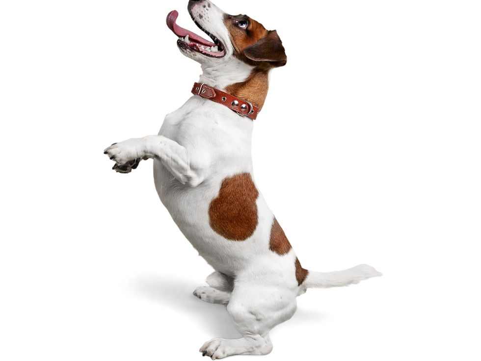 Diseño sin título (17).png