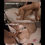 Thumbnail: (439B)