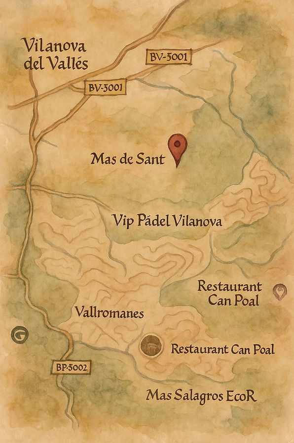 mapa boda_edited.jpg