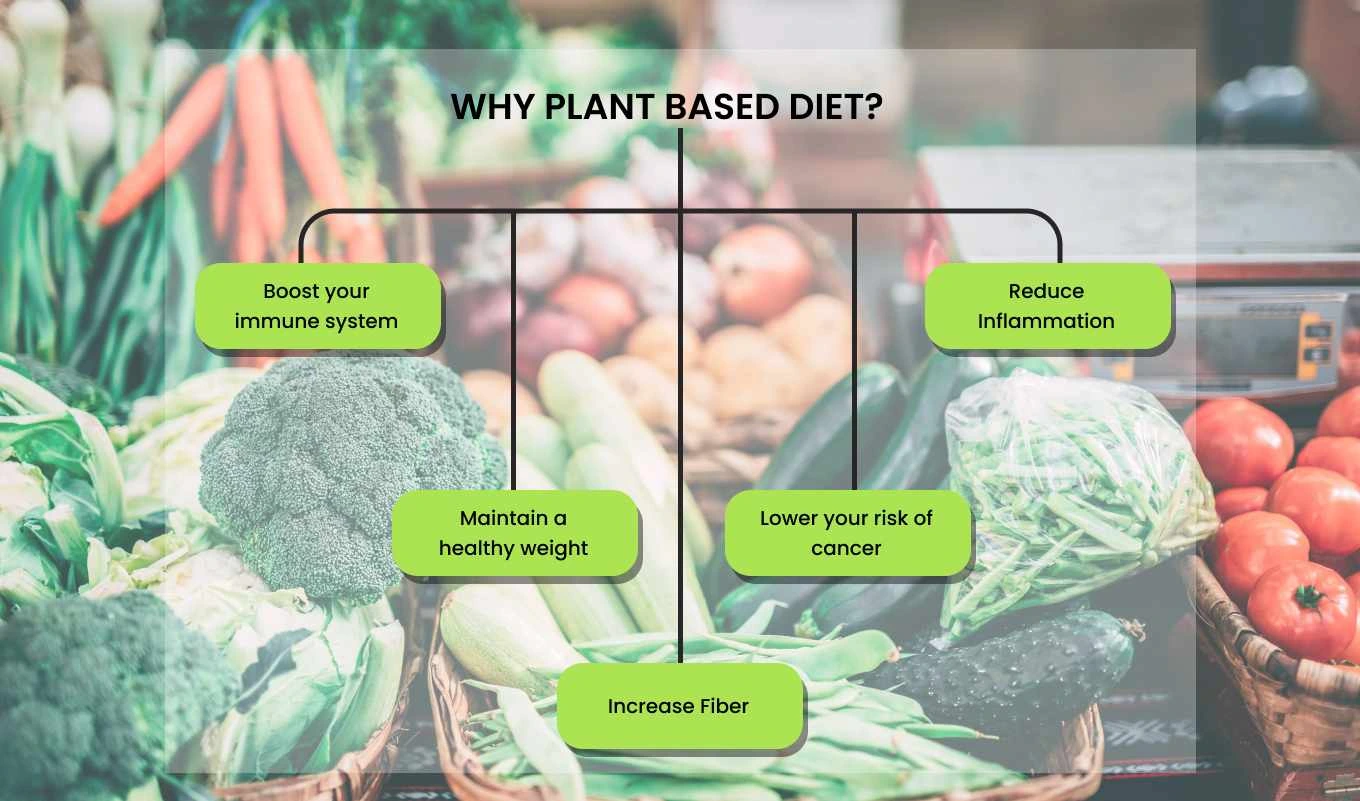 PlantBased Diet Benefits and Challenges