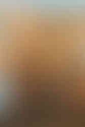 Urban wedding, Billings, Montana