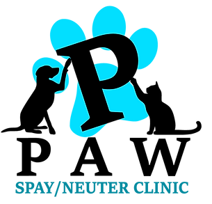 PPAW-new-logo-teal.png