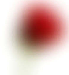 Post 1 - The Journey Begins