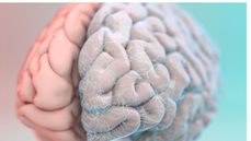 AI Is Accelerating. Human Development Isn’t. That’s the Risk.