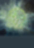 background.jpg