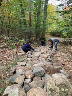 Volunteer Rock Work on Trail