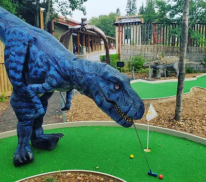 Tina Golfing.webp