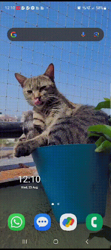 lEFT OR RIGHT CLEAR.gif