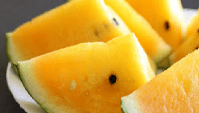 Watermelon, yellow