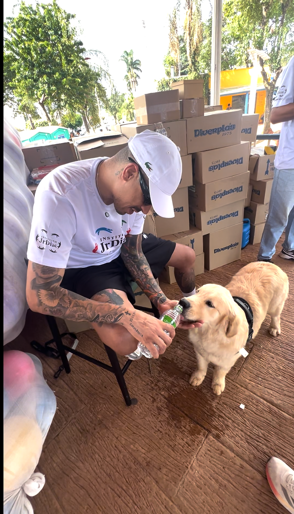 Vereador Juninho Dias propõe criação do Plano Municipal de Adoção Animal e cobra informações sobre políticas existentes